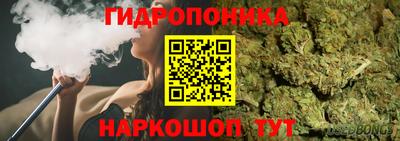 наркотики Будённовск